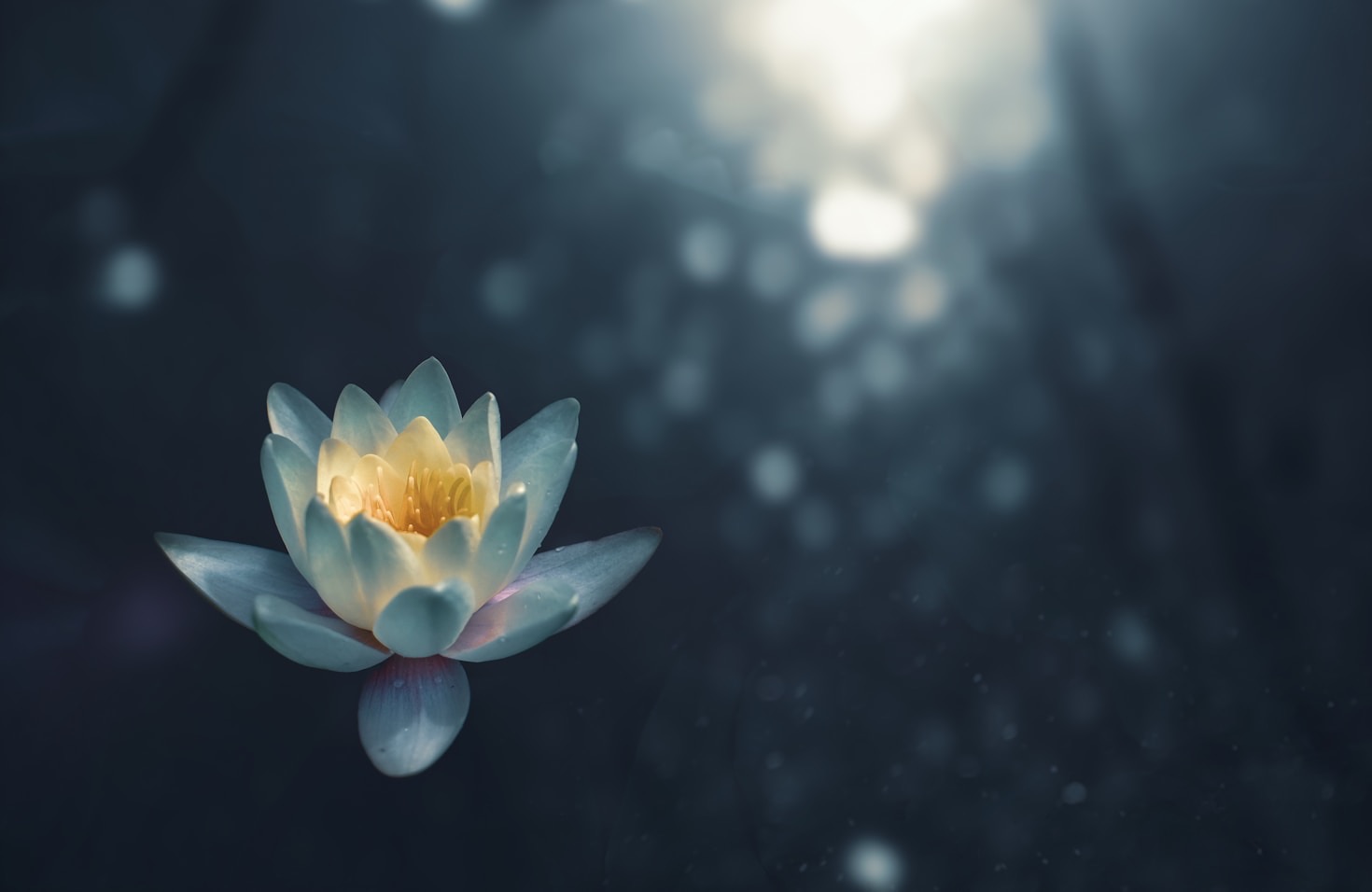 Feminine Energy
